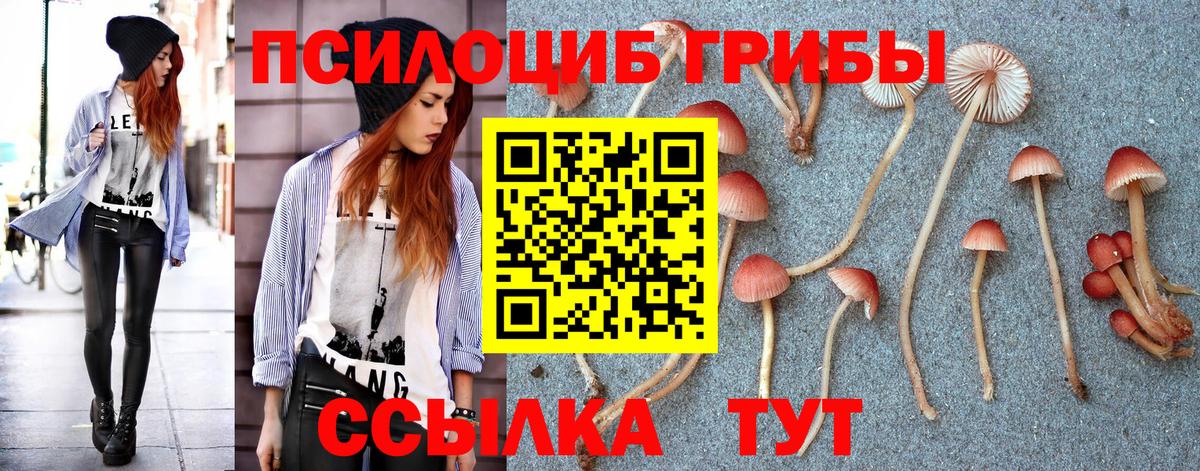 Галлюциногенные грибы Magic Shrooms  купить   Домодедово  Вход с VPN 